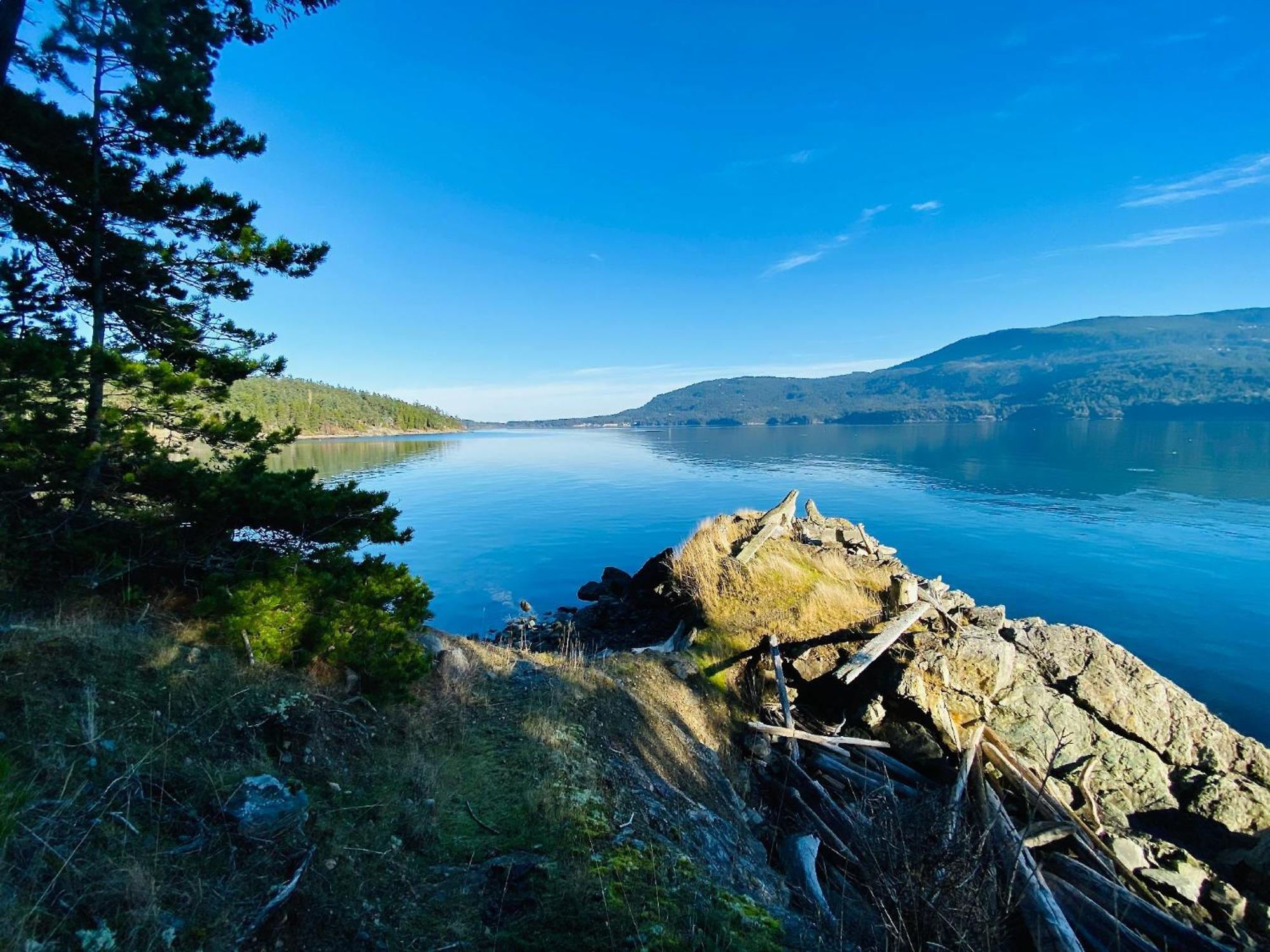 Luxury Waterfront & Views, Private Beach, Golfing Eastsound Екстериор снимка